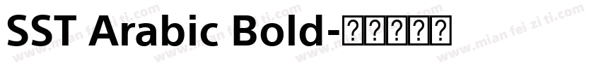 SST Arabic Bold字体转换